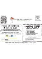 offer-img