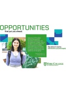 offer-img