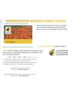 offer-img